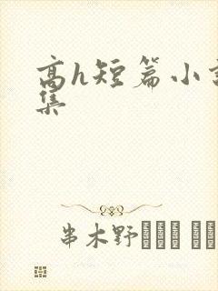 高h短篇小说合集
