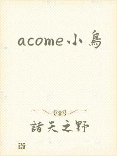 acome小鸟