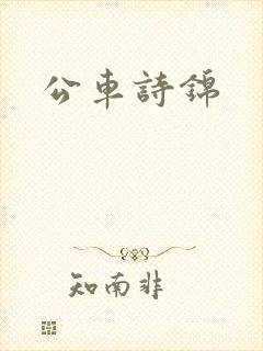 公车诗锦封面
