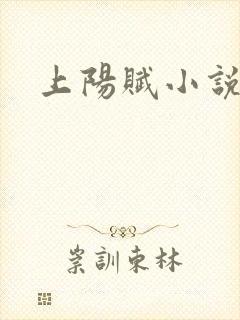 上阳赋小说
