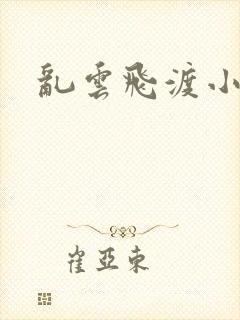 乱云飞渡小说