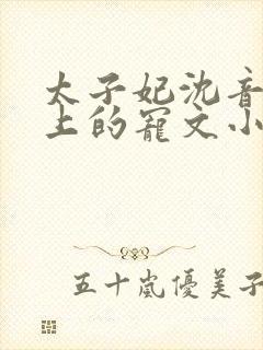太子妃沈音和皇上的宠文小说