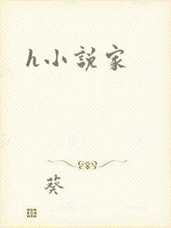 h小说家
