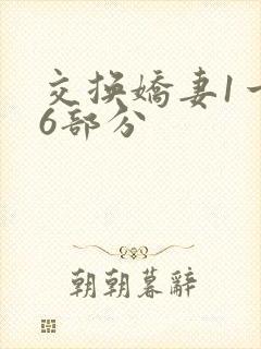 交换娇妻1一36部分