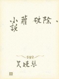 小萝 破除 小说封面