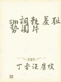 sm调教羞耻姿势图片封面