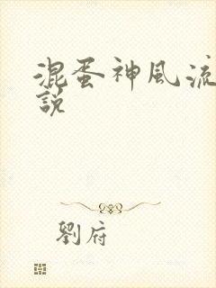 混蛋神风流史小说封面