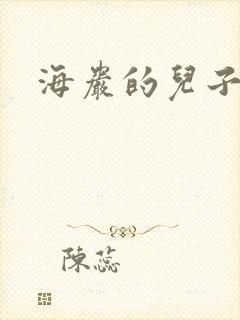 海岩的儿子