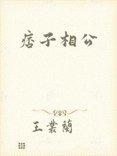 痞子相公