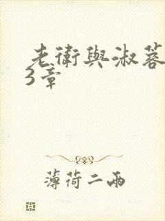 老卫与淑蓉第13章