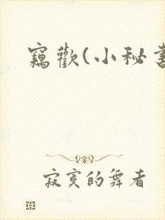 窃欢(小秘书)