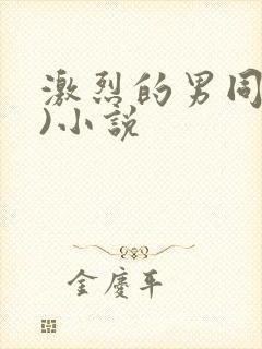 激烈的男同(h)小说
