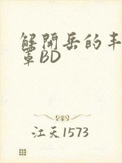 解开岳的丰满奶罩BD