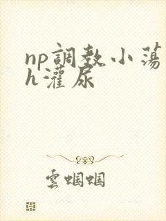 np调教小荡货h灌尿