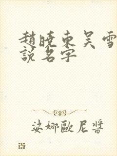 赵晓东吴雪晴小说名字