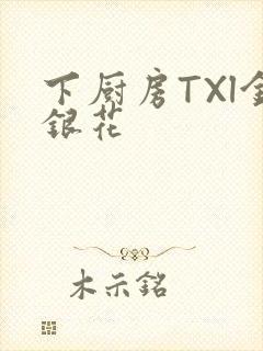 下厨房TXl金银花