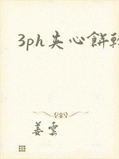 3ph夹心饼干