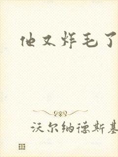 他又炸毛了
