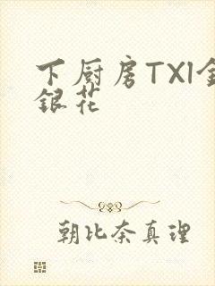下厨房TXl金银花封面