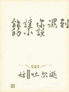 能让你湿到不行的小说封面
