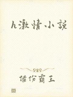 h激情小说