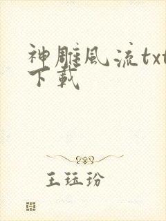 神雕风流txt下载