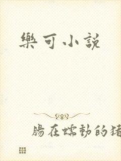 乐可小说