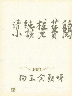 清纯校花的秘密小说免费阅读封面