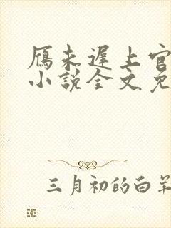 雁未迟上官穿越小说全文免费阅读