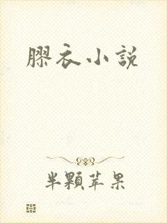 胶衣小说