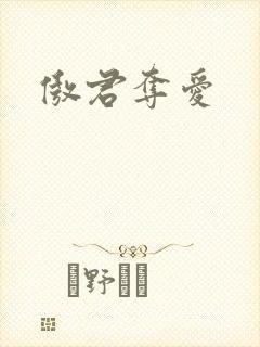 傲君夺爱封面