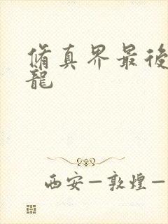 修真界最后一条龙