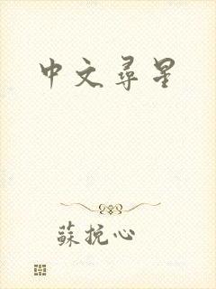 中文寻星封面