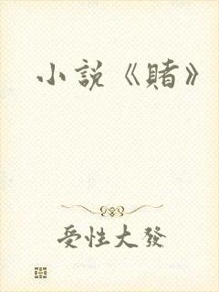 小说《赌》封面