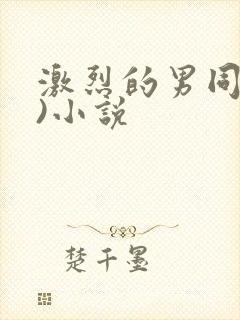 激烈的男同(h)小说