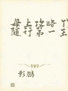 母上攻略 竹影随行第一主板