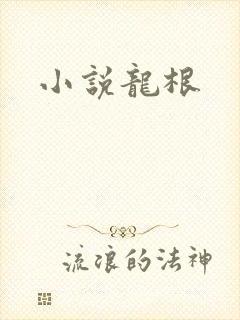 小说龙根
