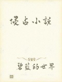 侵占小说