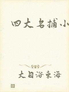 四大名捕小说