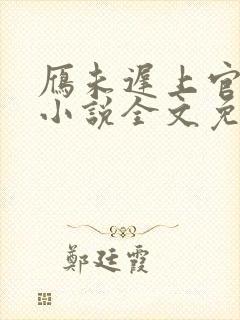 雁未迟上官穿越小说全文免费阅读