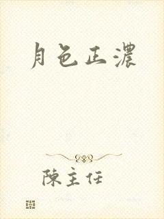 月色正浓封面