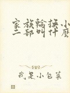 家族轮换小说第二部叫什么名字