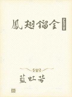 凤翅镏金镋封面