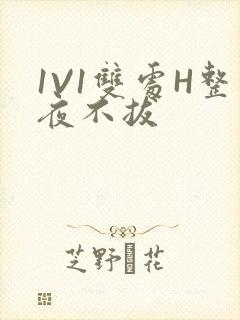1V1双处H整夜不拔封面