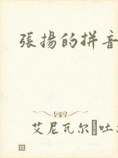 张扬的拼音封面