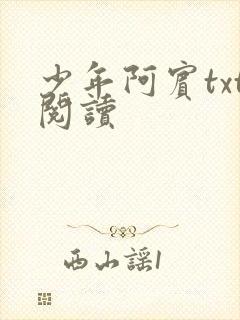 少年阿宾txt阅读封面