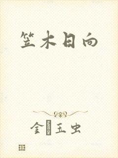 笠木日向