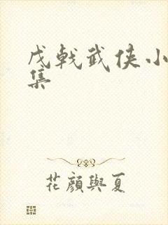 戊戟武侠小说全集封面
