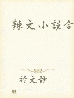 辣文小说合集