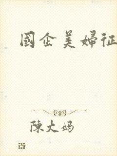 国企美妇征途